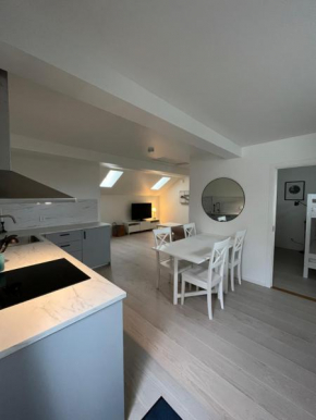 Nice Apartment close to everything Malmö